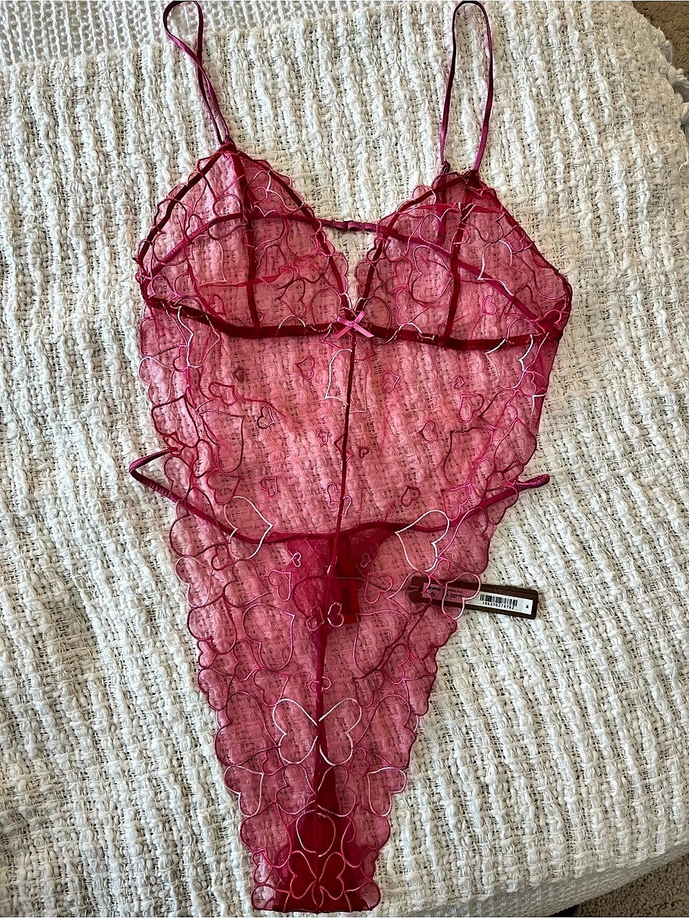 NWT Skims Teddy Lace Teddy Pink
